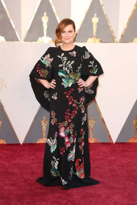 AMY POEHLER OSCARS 2016